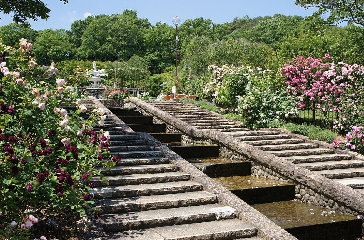Kitayama Botanical Garden, Nishinomiya, Japan, Japan